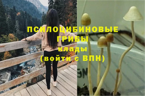 не бодяженный Алексин