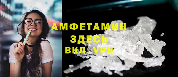 молекула духа Няндома