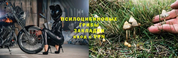 не бодяженный Алексин