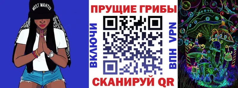 Псилоцибиновые грибы Magic Shrooms  купить  цена  Котовск 