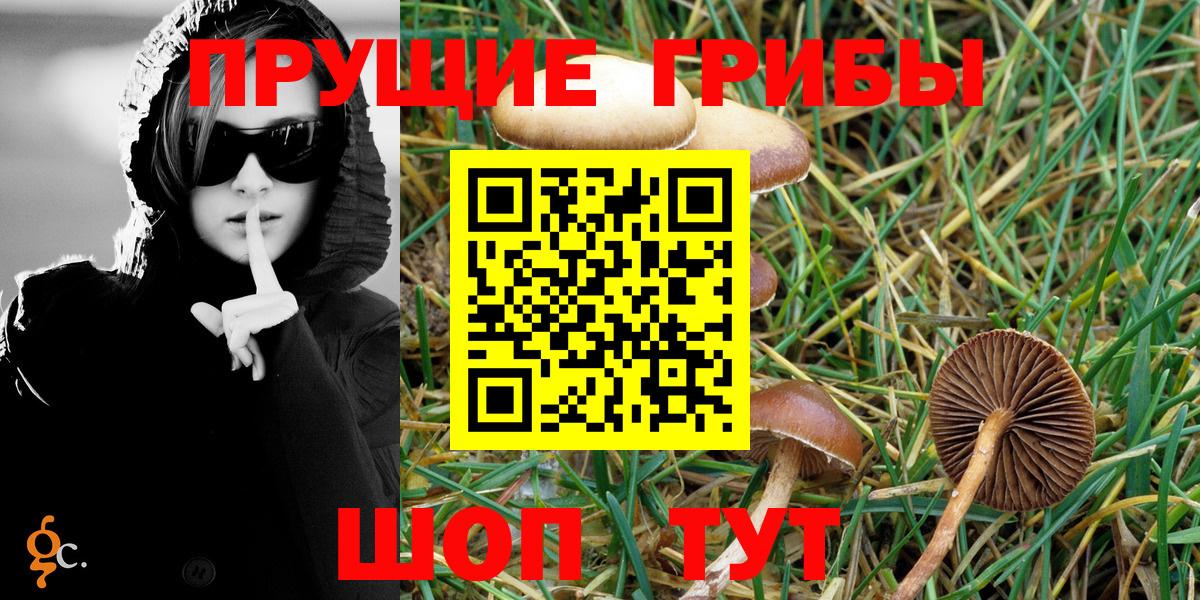 Псилоцибиновые грибы Magic Shrooms  Галлюциногенные грибы Psilocybe  Котовск  Вход с VPN 