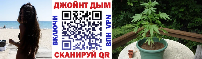 Бошки марихуана план  где купить наркоту  Котовск 