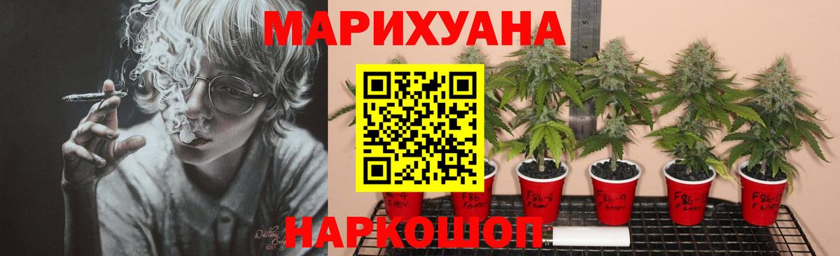 Марихуана White Widow  Вход с VPN  Котовск  Бошки Шишки планчик  Каннабис конопля  МАРИХУАНА SATIVA & INDICA 